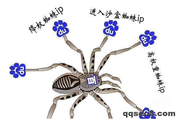 網站SEO蜘蛛養成計劃的圖片