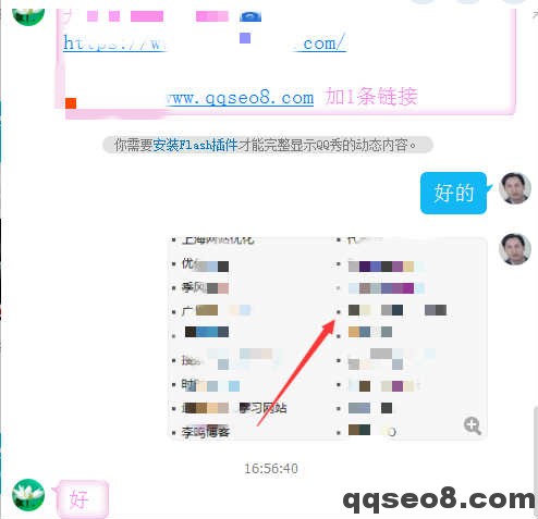 琪琪SEO广告合作及VIP资源收入部分截图的图片 - 7